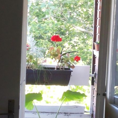 B&B Girasole Нови Сад Стая снимка